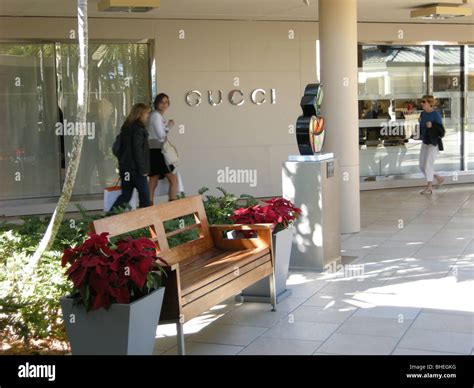 gucci naples florida.